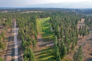 Wilderness Club 11th Aerial